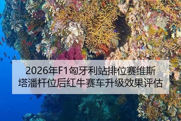2026年F1匈牙利站排位赛维斯塔潘杆位后红牛赛车升级效果评估